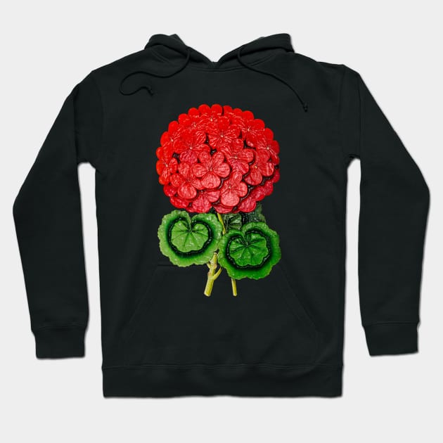 Red flowers on plasticized branch Hoodie by Marccelus